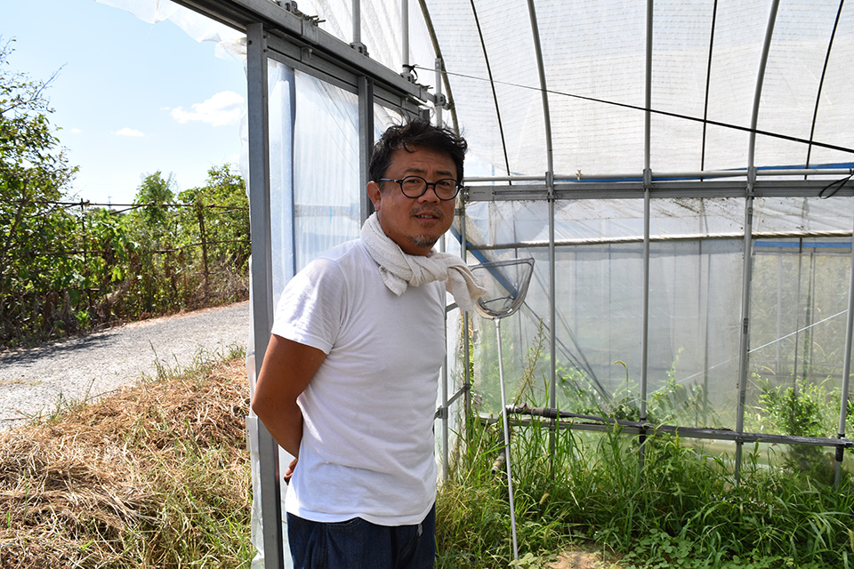 美味しいお野菜を求めて有機栽培農家の兵庫県明石市の後藤さんを訪問