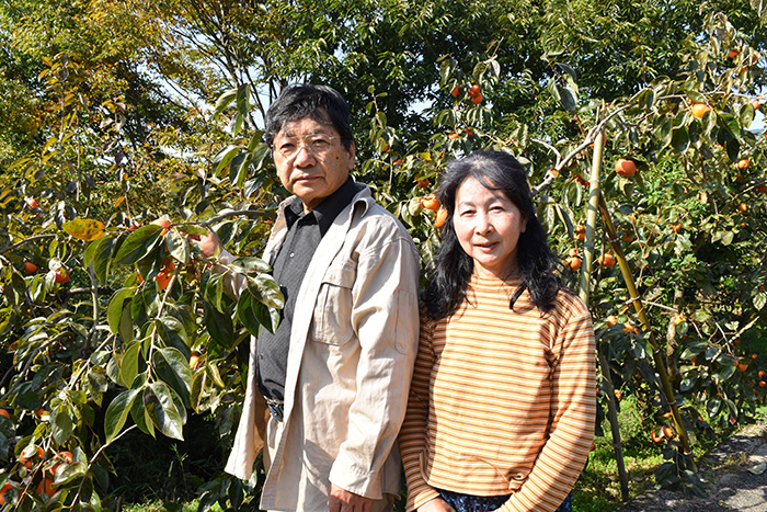 和歌山県橋本市に除草剤を使わず愛情込めて育てた富有柿が