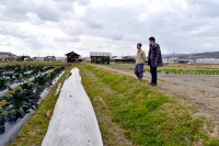 世界を旅した和歌山県岩出市の無農薬・無化学肥料農家の小林さんを訪問