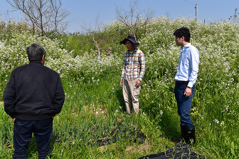愛知県西尾市で農地耕作しながら自然栽培されている今井さんを訪問