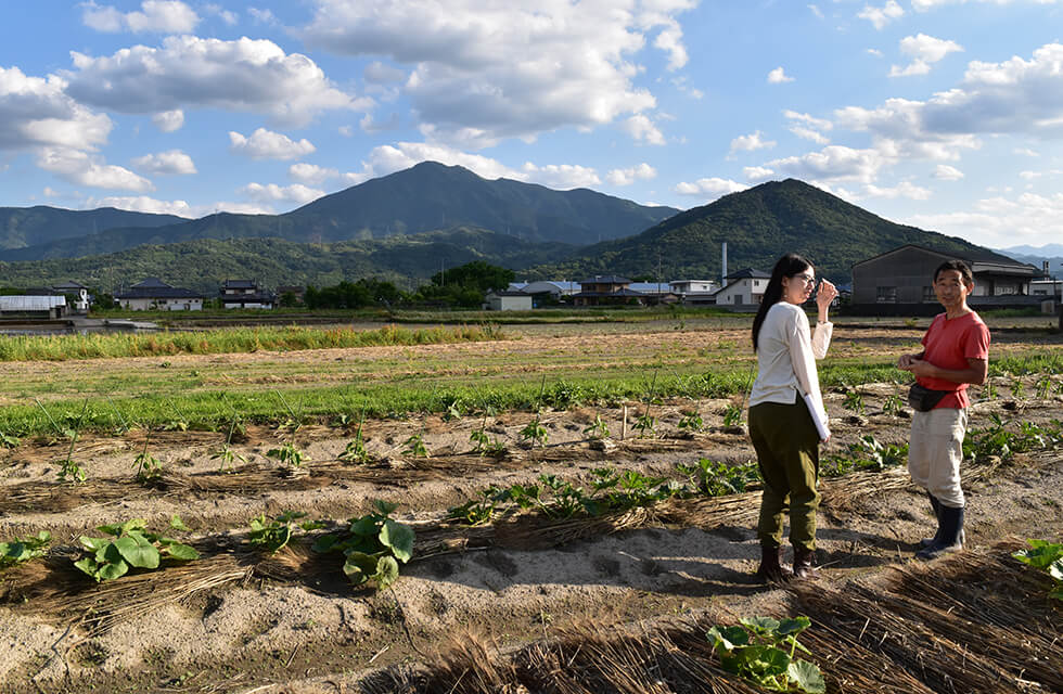 阿波街道で露地栽培をしているベテラン有機野菜農家の小野さんを再訪問