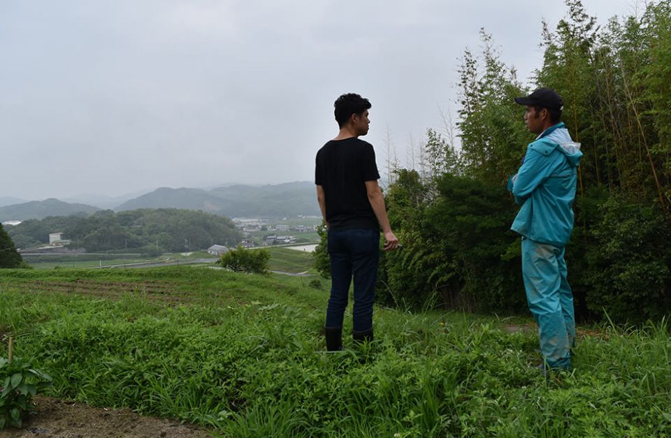 兵庫県洲本市で微生物に寄り添う野菜作り！無農薬農家の花岡さん訪問
