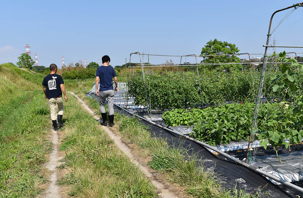 ソバージュ栽培で育てる美味しいトマト！愛知県知多市の無農薬農家の竹内さんを訪問