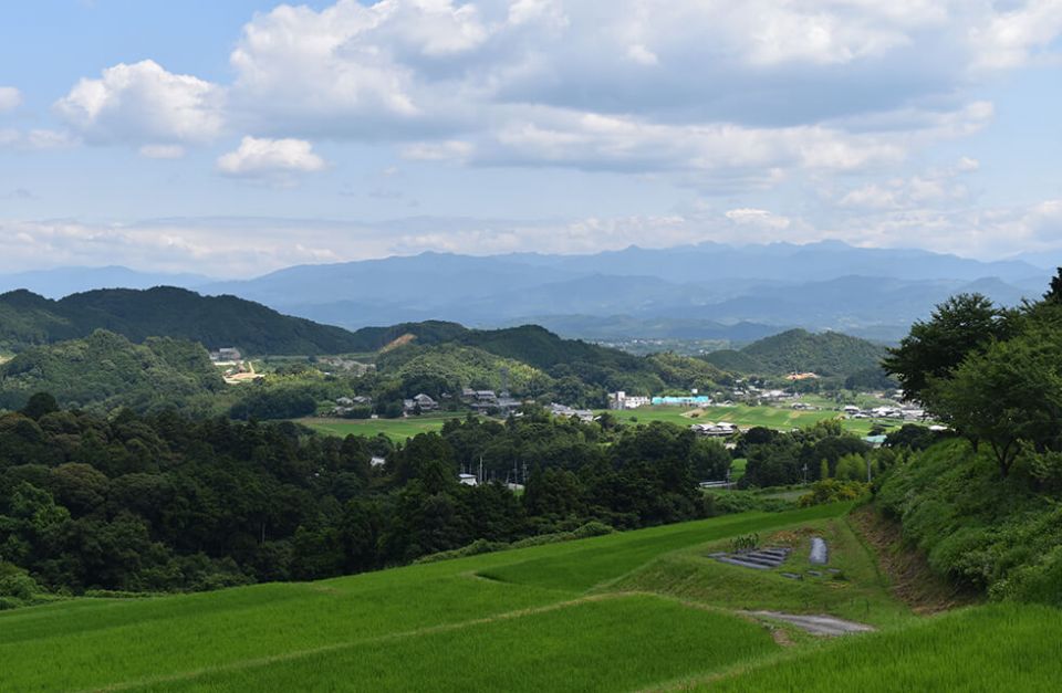 奈良県御所市の農業の発展に力を入れていきたいと熱い奥野さんを再訪問