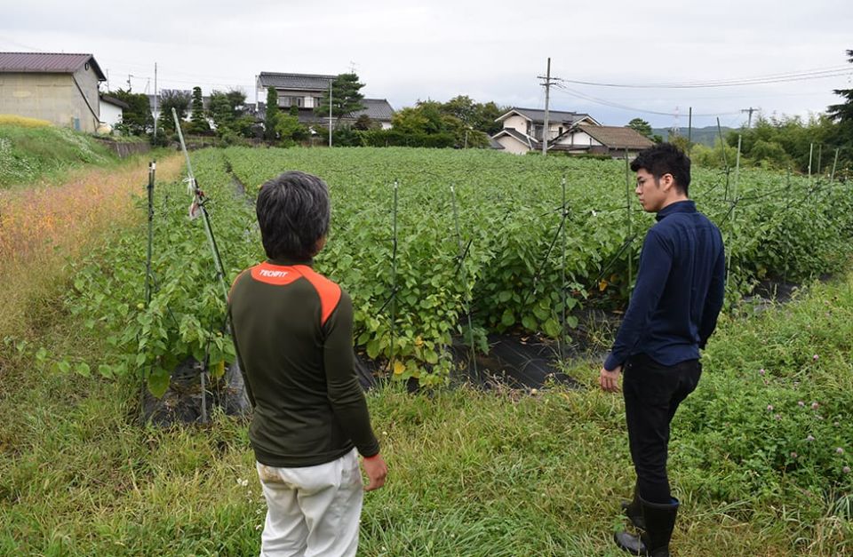 長野県佐久市でおいしい「ほおずき」を作る無農薬農家の岩瀬さん訪問