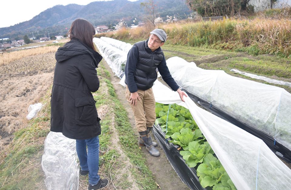 「踏み込み温床」で苗を育てる無農薬農家の広島県東広島市の岩見さんを訪問