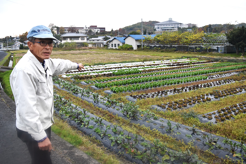 定年後に野菜作りを開始！香川県三豊市の無農薬無化学肥料農家の香川さんを再訪問