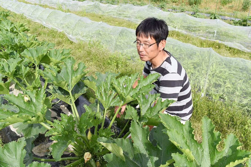 バンドマンから農家へ！自然農法で野菜を育てる山口県山口市の粟屋さんを訪問