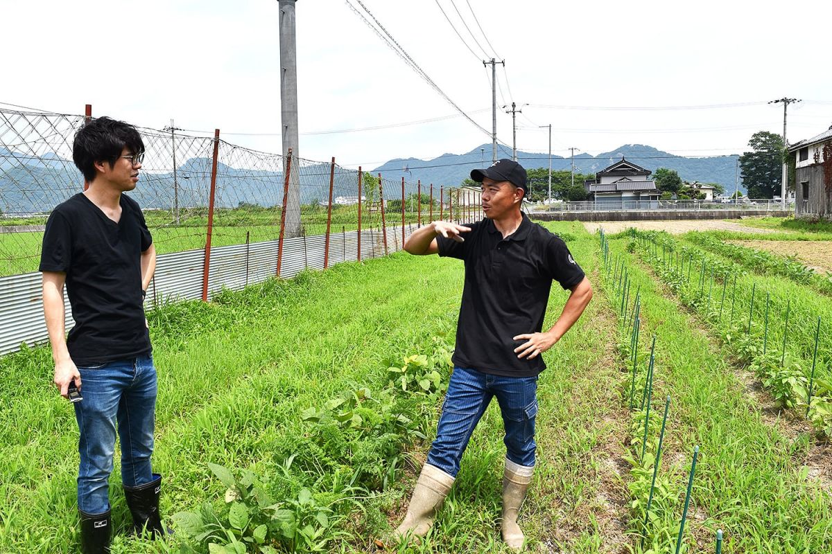 生き物と共存しながらおいしい野菜を作る兵庫県たつの市の無農薬農家の松尾さんを訪問