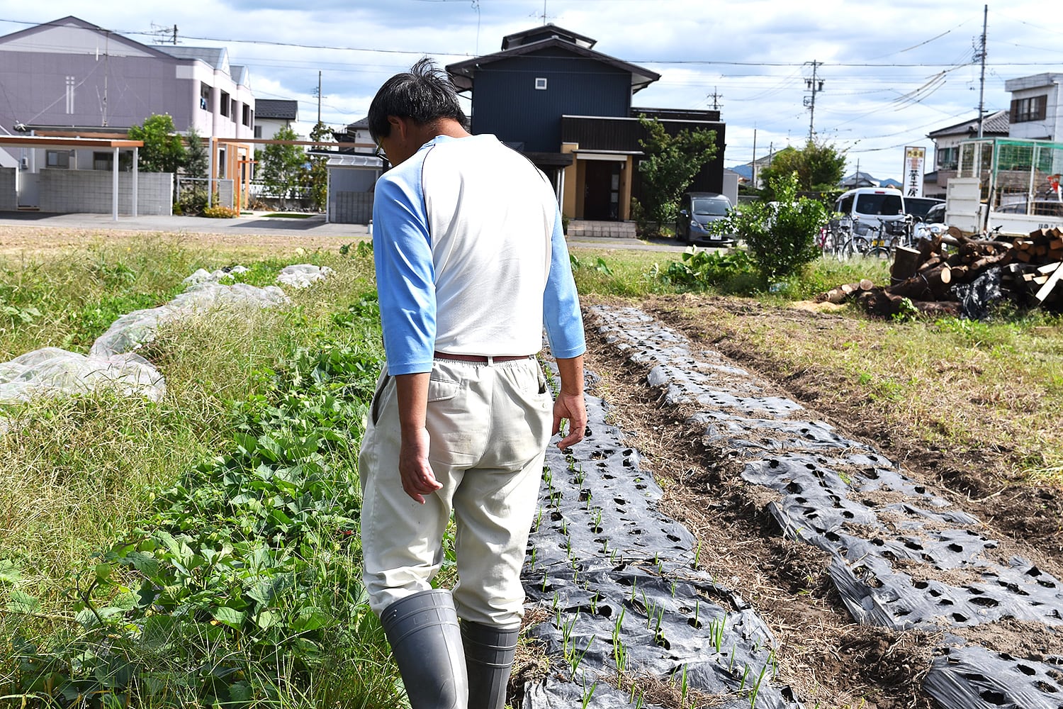 有機栽培でキウイやお米を栽培する愛知県犬山市の奥村さんを訪問