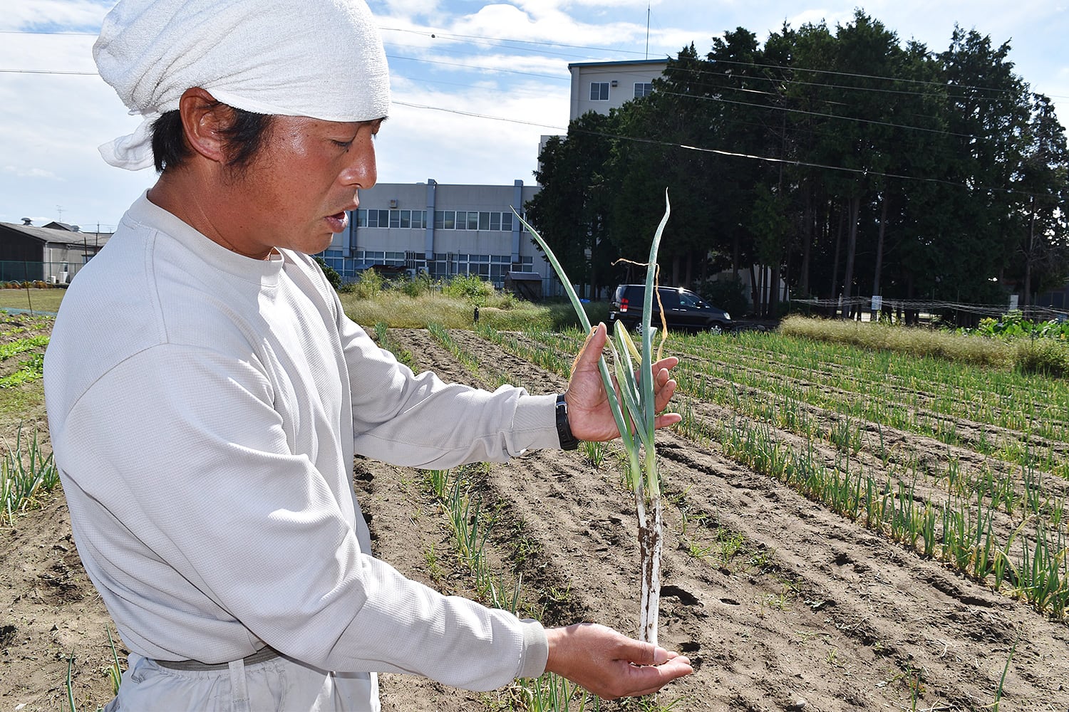 お子様が安心して食べられる野菜作り！愛知県丹羽郡で有機農家を営む川口さんを訪問