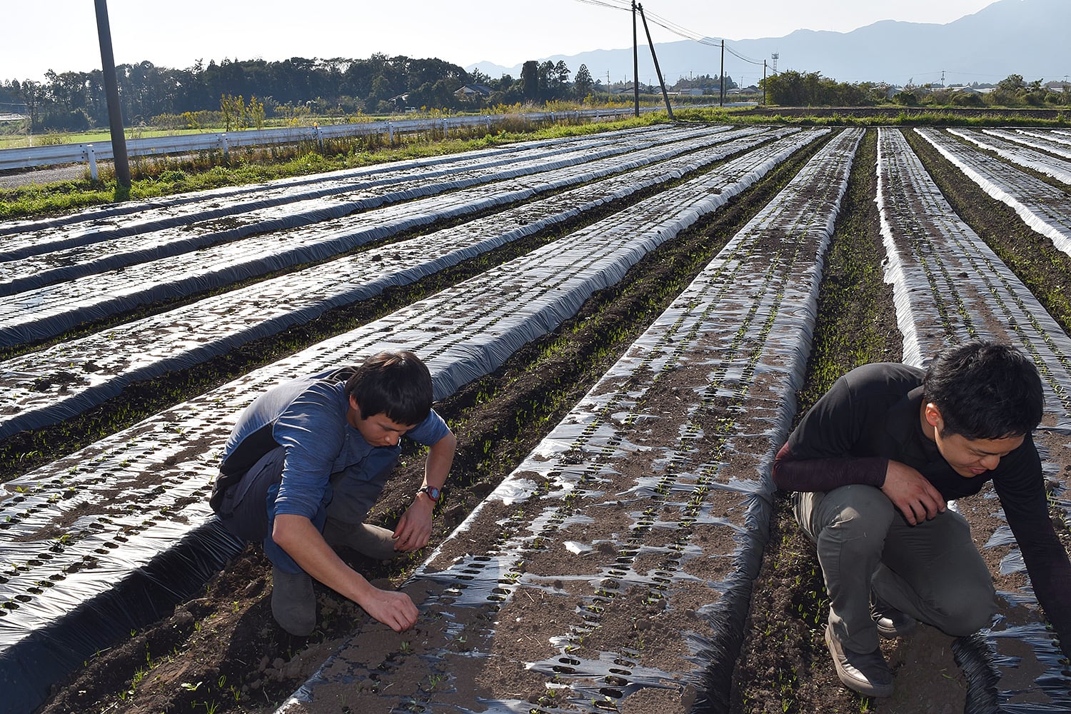 「BLOF理論」で作るこだわり野菜！鹿児島県鹿屋市の無農薬農家を営む柳澤さんを訪問