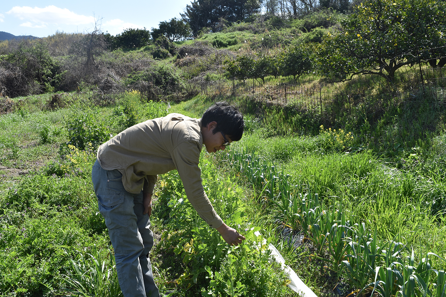 種への強いこだわりと愛情！愛媛県今治市の無農薬農家の瀬戸さんを訪問