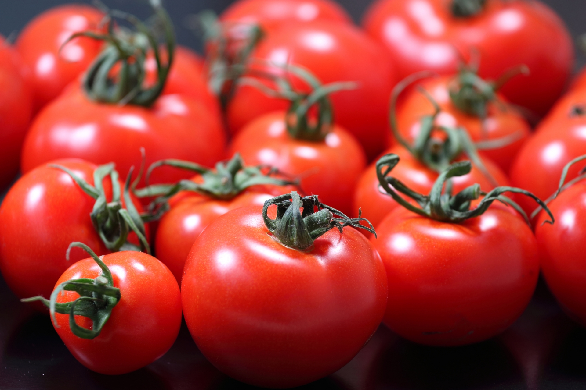 トマトの保存方法のコツを分かりやすく解説
