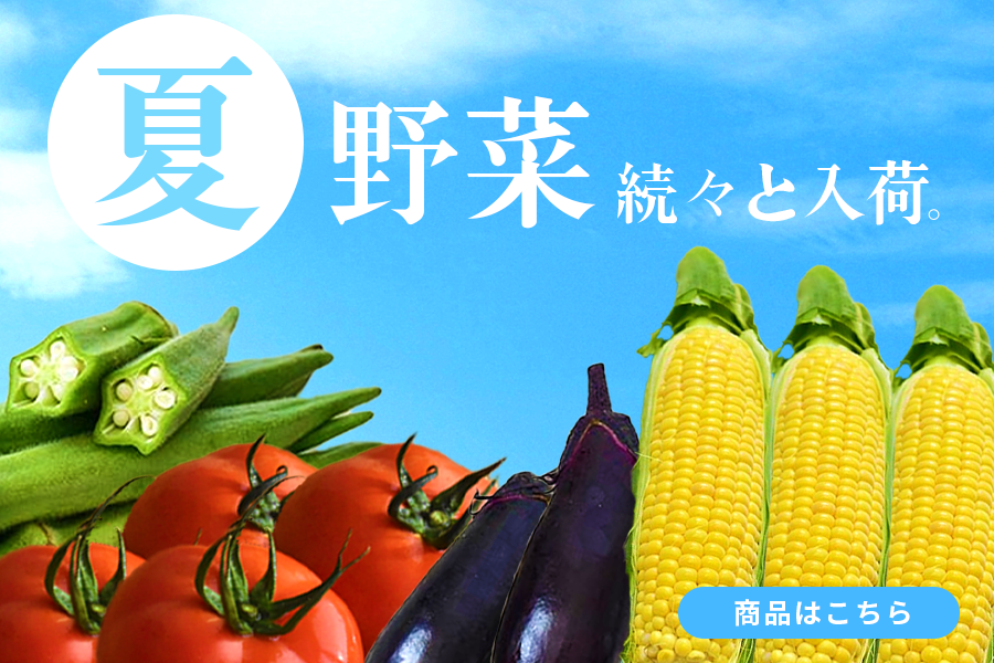 【2023年夏野菜】まだまだ続く夏！今こそ買いたい旬の夏野菜特集！！