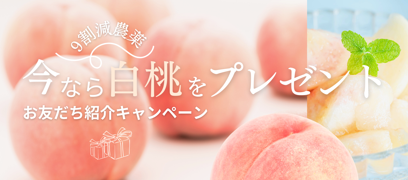 【期間限定】減農薬の白桃をプレゼント！お友だち紹介キャンペーン